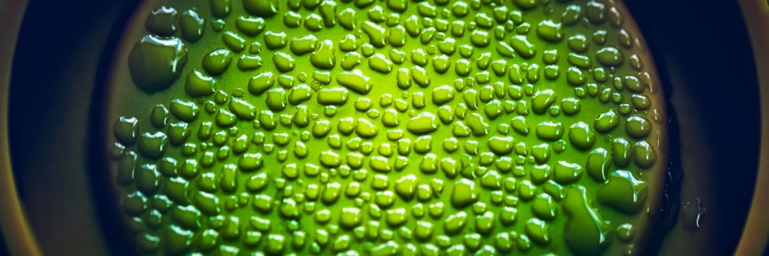 biomateriali