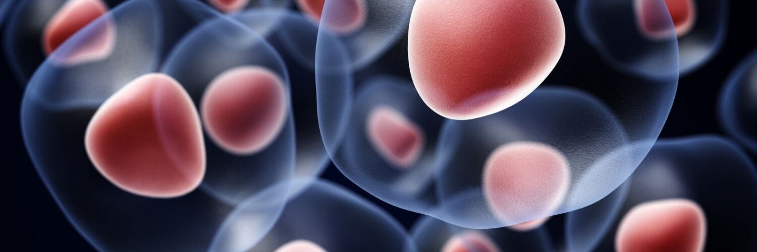 cellule al microscopio