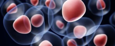 cellule al microscopio