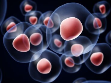 cellule al microscopio